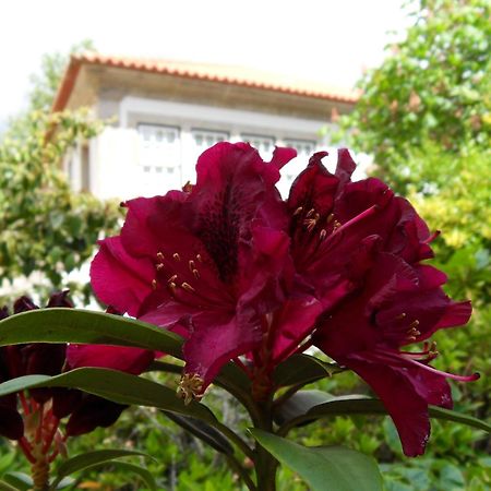 Quinta Do Bento Novo - Casa De Campo - Turismo Rural Viana do Castelo Kültér fotó