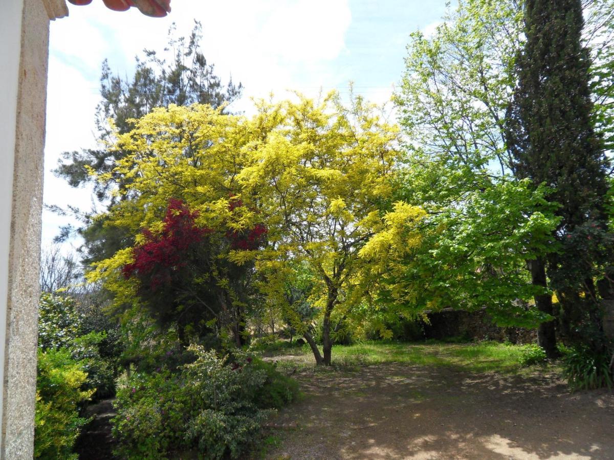 Quinta Do Bento Novo - Casa De Campo - Turismo Rural Viana do Castelo Kültér fotó