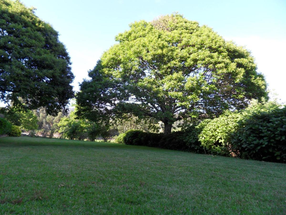 Quinta Do Bento Novo - Casa De Campo - Turismo Rural Viana do Castelo Kültér fotó