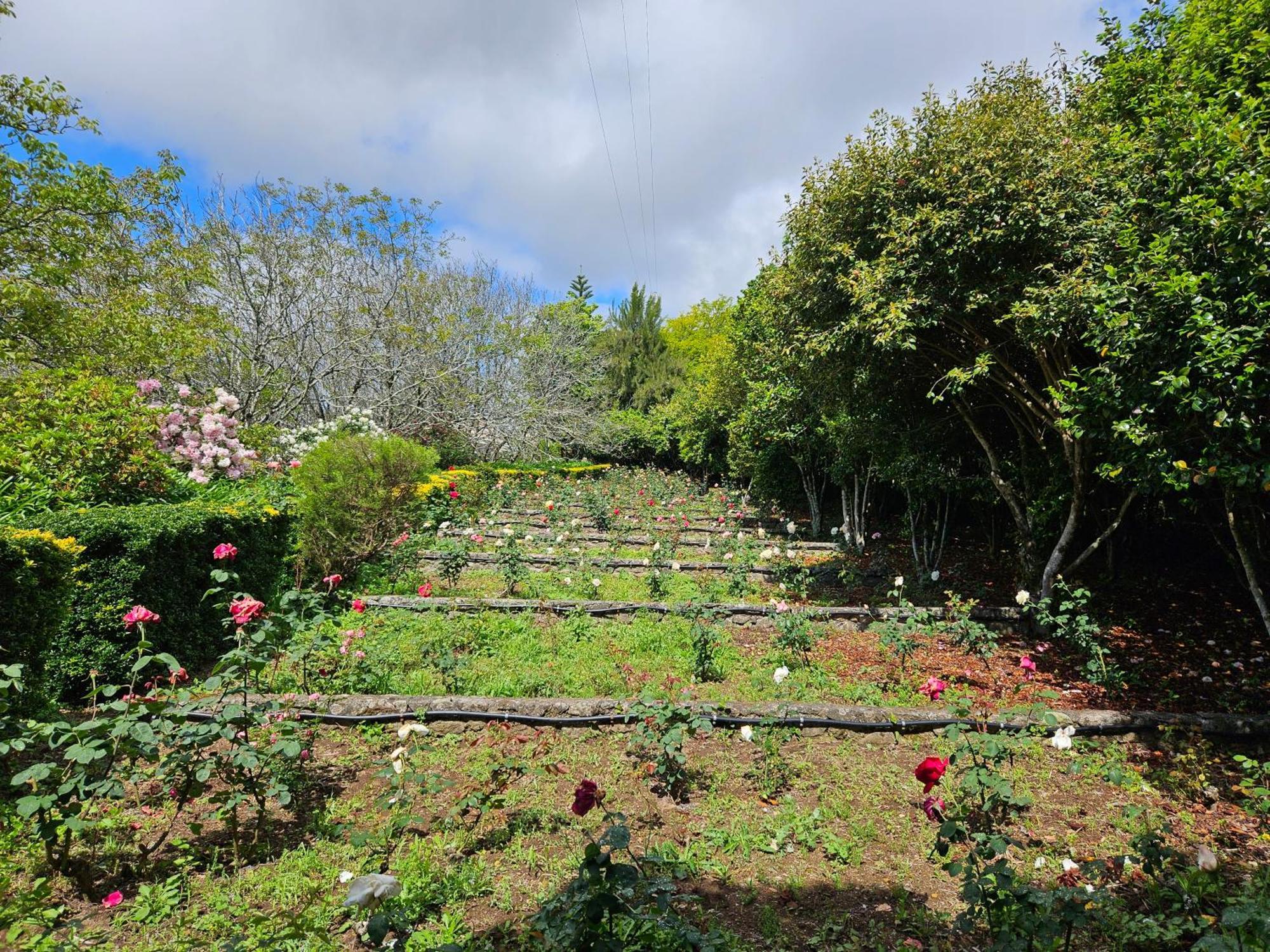 Quinta Do Bento Novo - Casa De Campo - Turismo Rural Viana do Castelo Kültér fotó